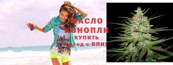 индика Осинники