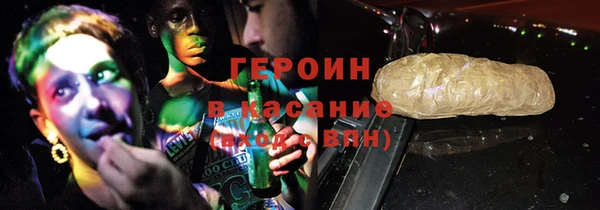 индика Осинники