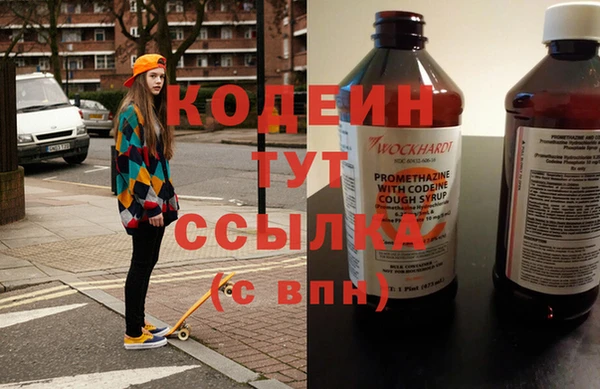индика Осинники