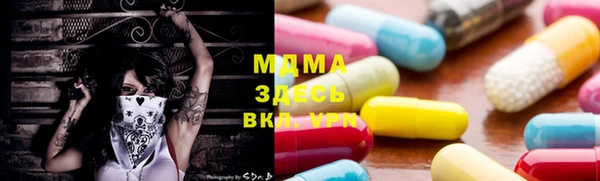 индика Осинники