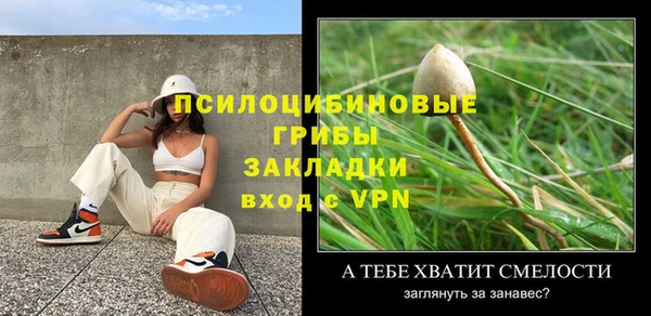 индика Осинники