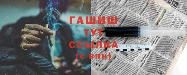 индика Осинники