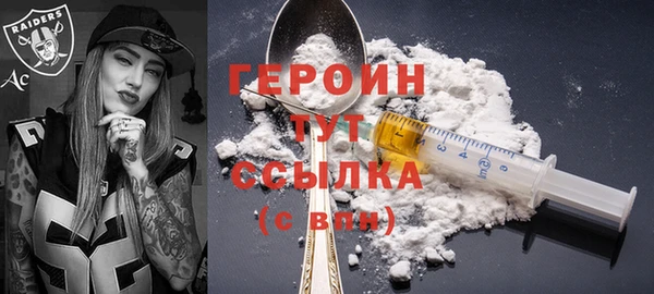 индика Осинники