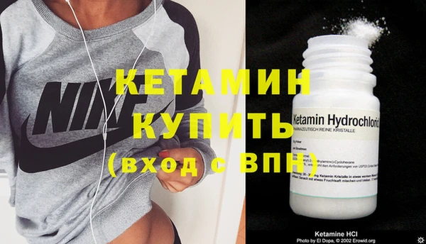 индика Осинники