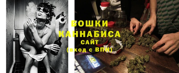 индика Осинники