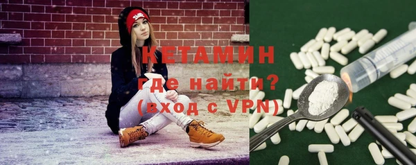 индика Осинники