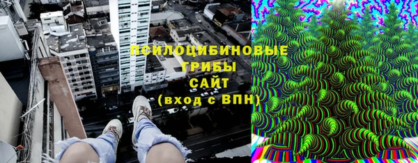 ALPHA PVP Остров