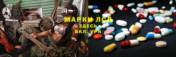 индика Осинники