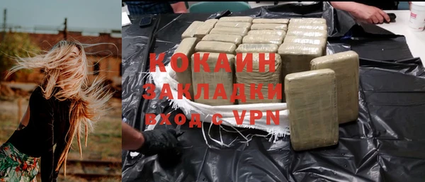 индика Осинники