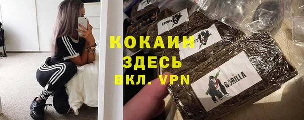 ALPHA PVP Остров