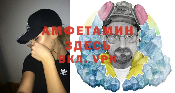 индика Осинники