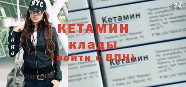 индика Осинники