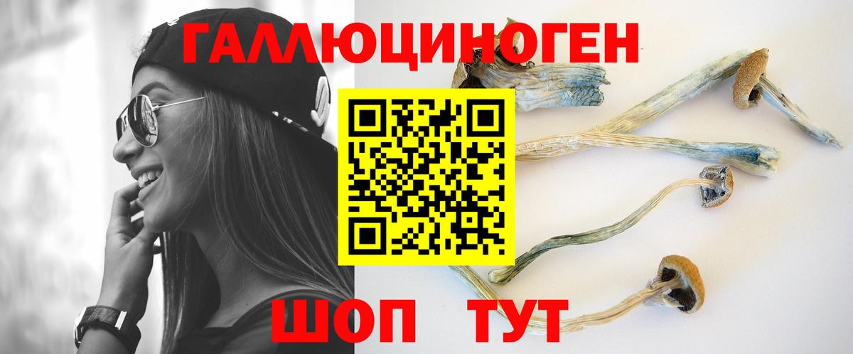 Псилоцибиновые грибы Magic Shrooms  Вход с VPN  Аксай 